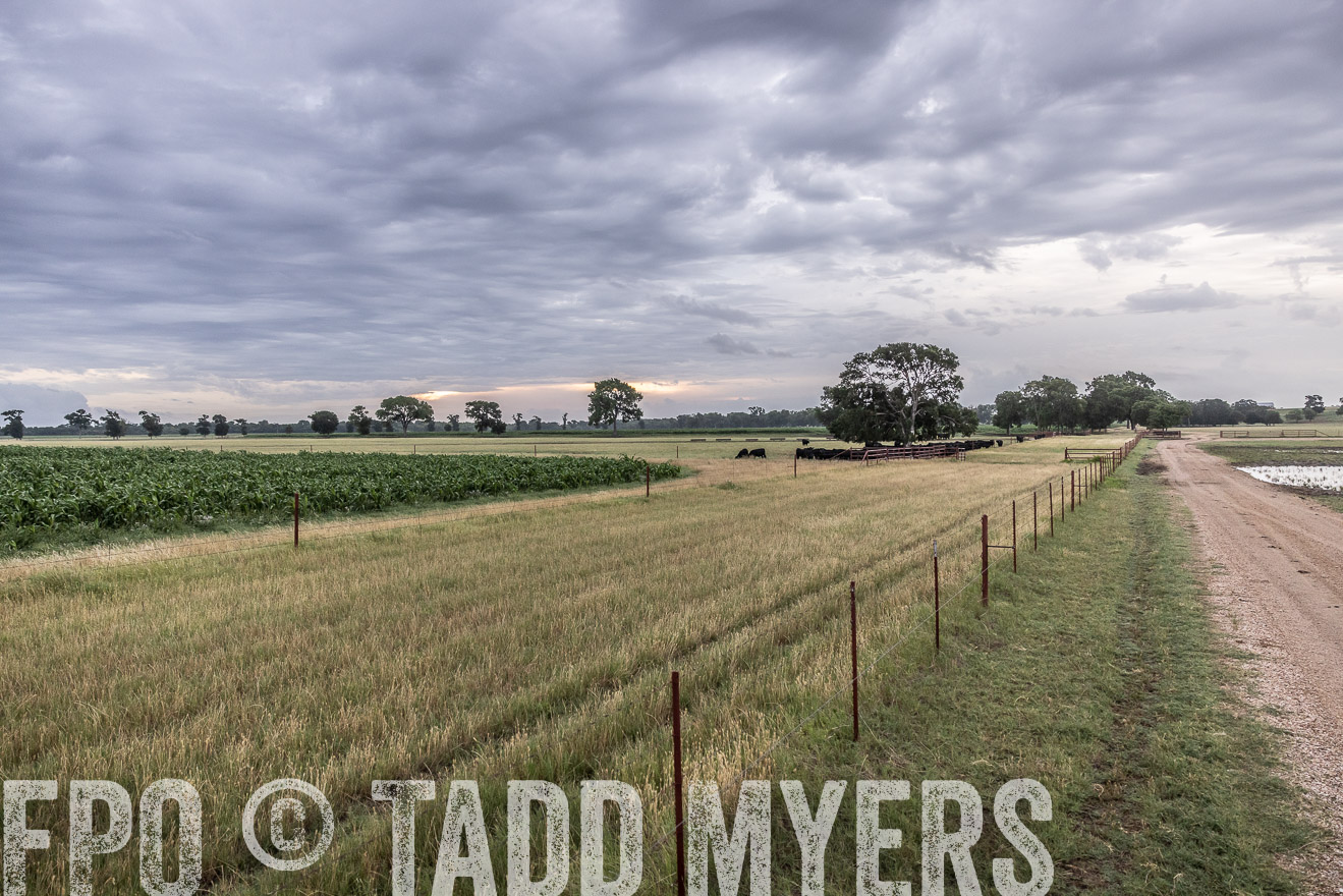 TMyers_Cameron_June2022-526012