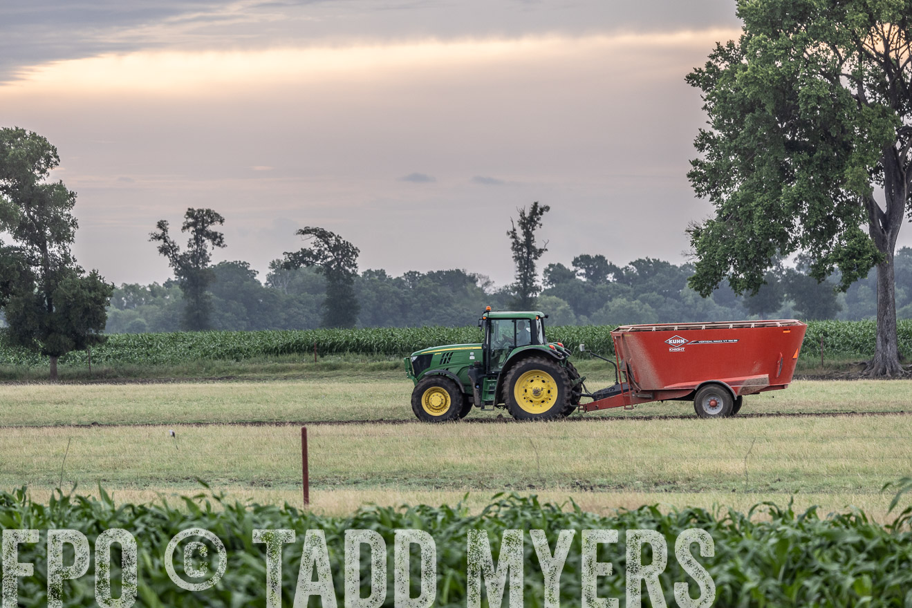 TMyers_Cameron_June2022-526023
