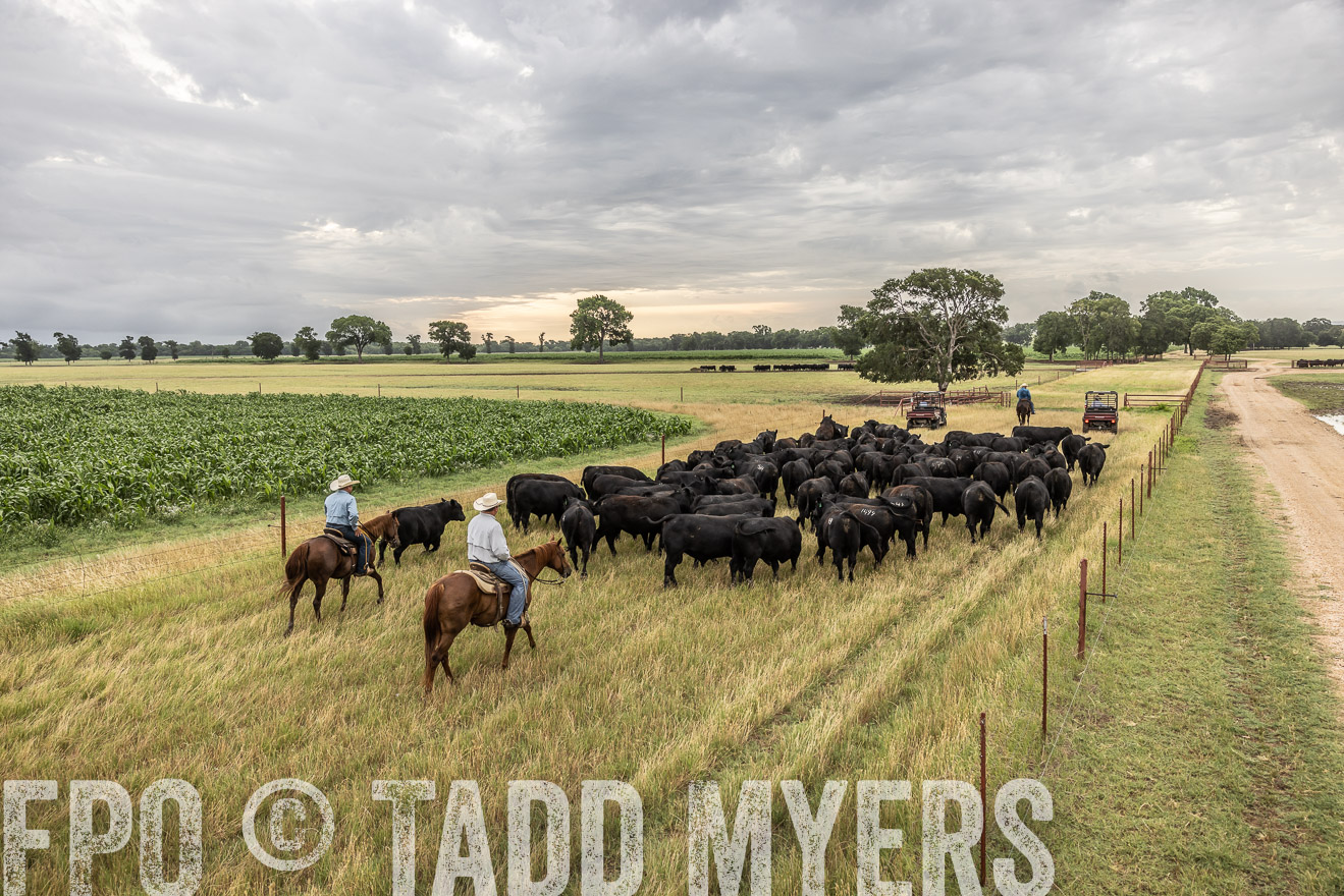 TMyers_Cameron_June2022-526108