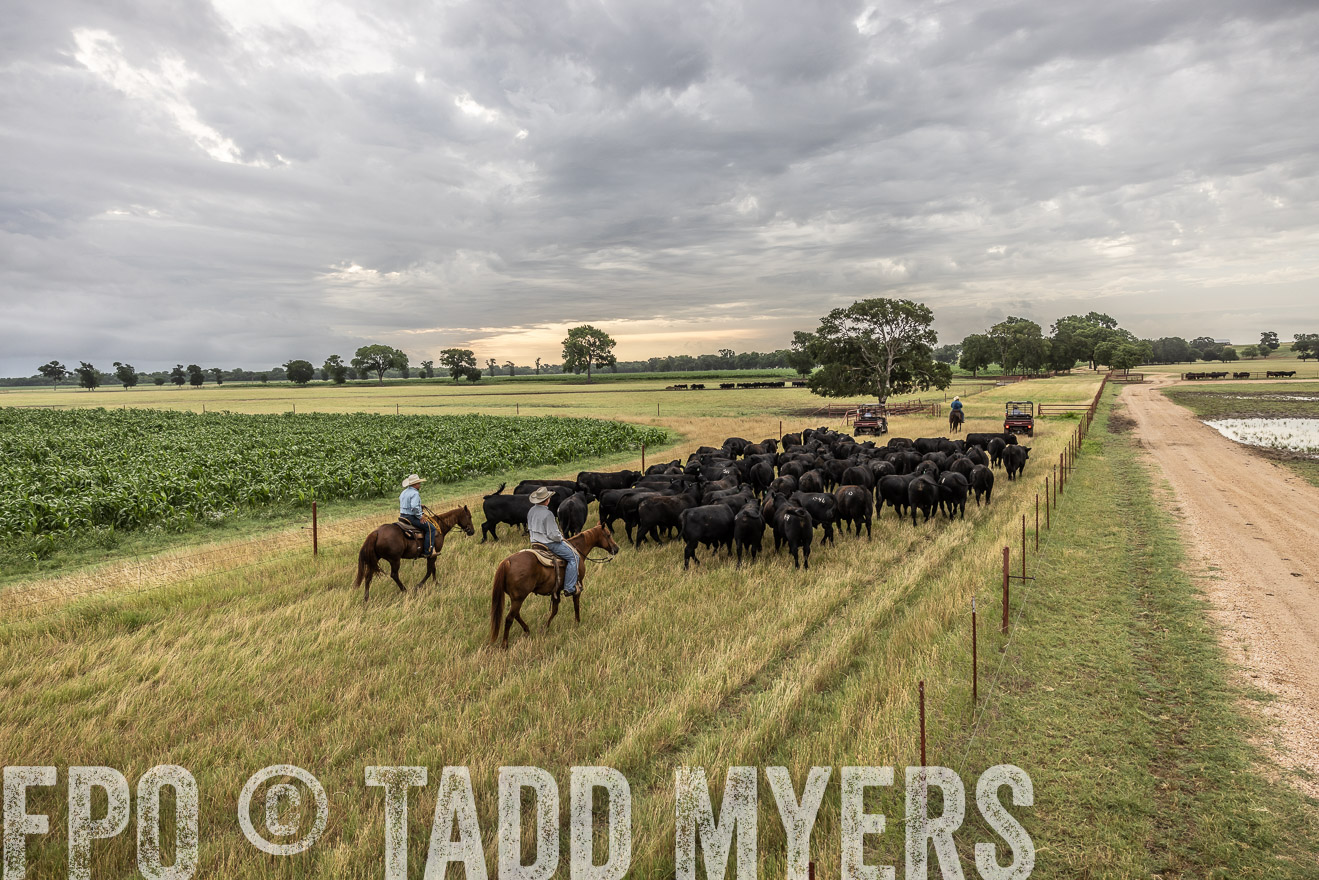 TMyers_Cameron_June2022-526110