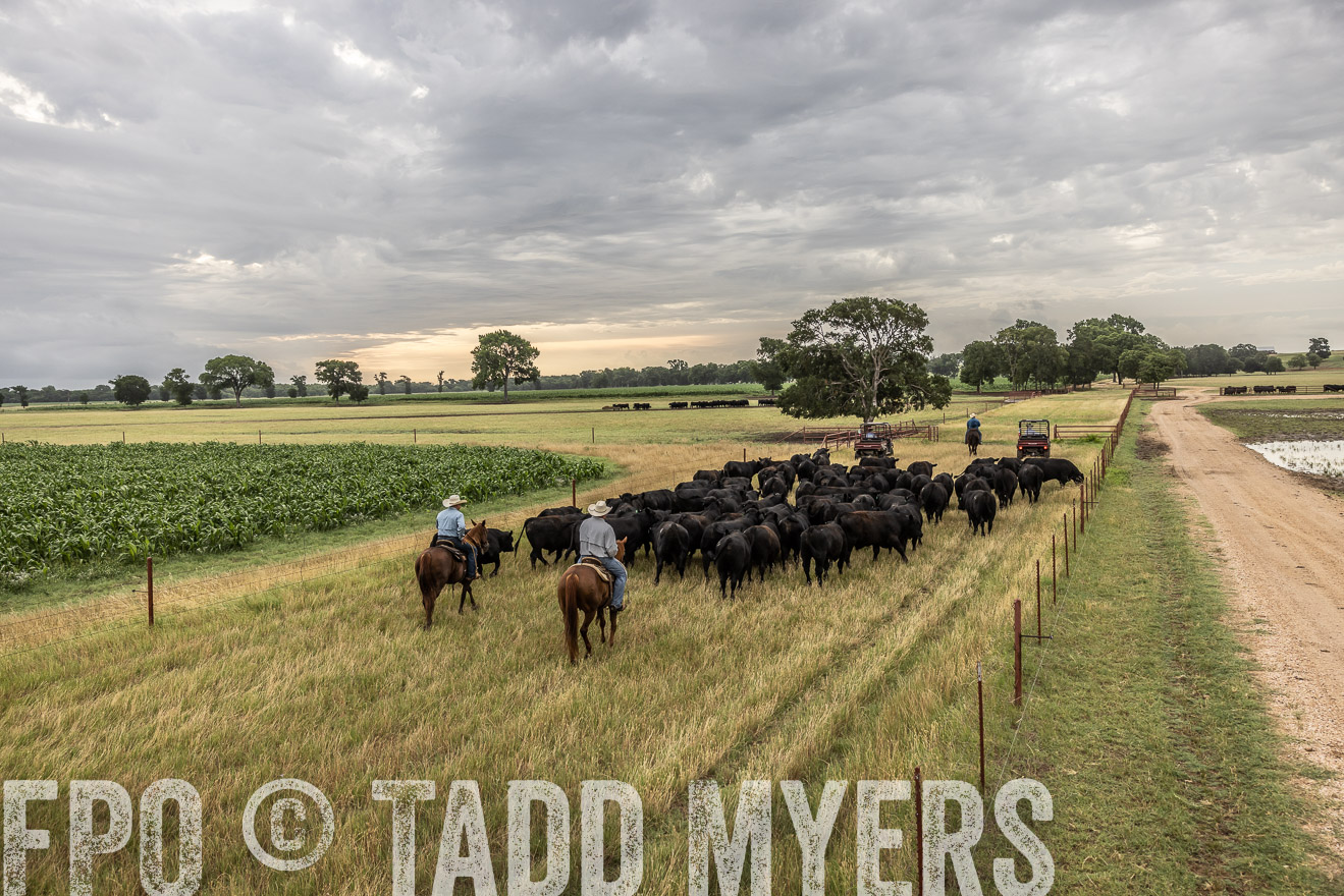 TMyers_Cameron_June2022-526120