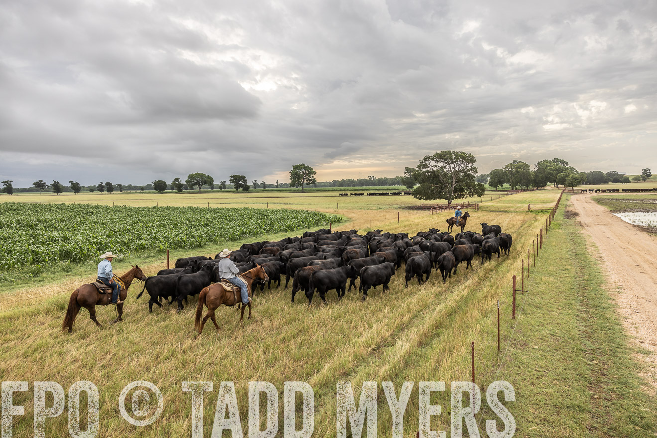 TMyers_Cameron_June2022-526237