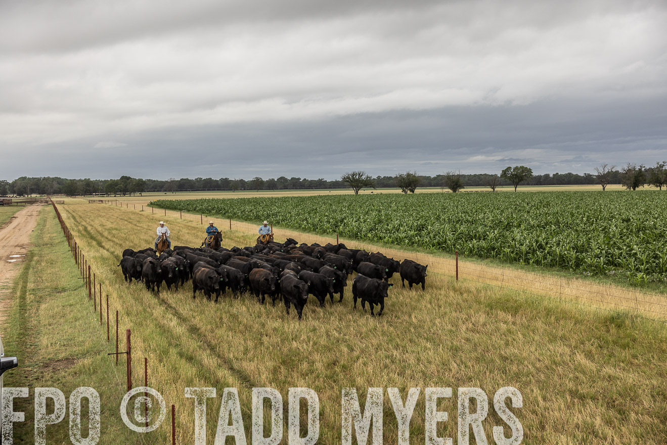 TMyers_Cameron_June2022-526348