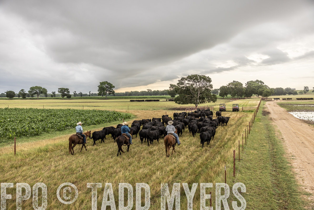 TMyers_Cameron_June2022-526417