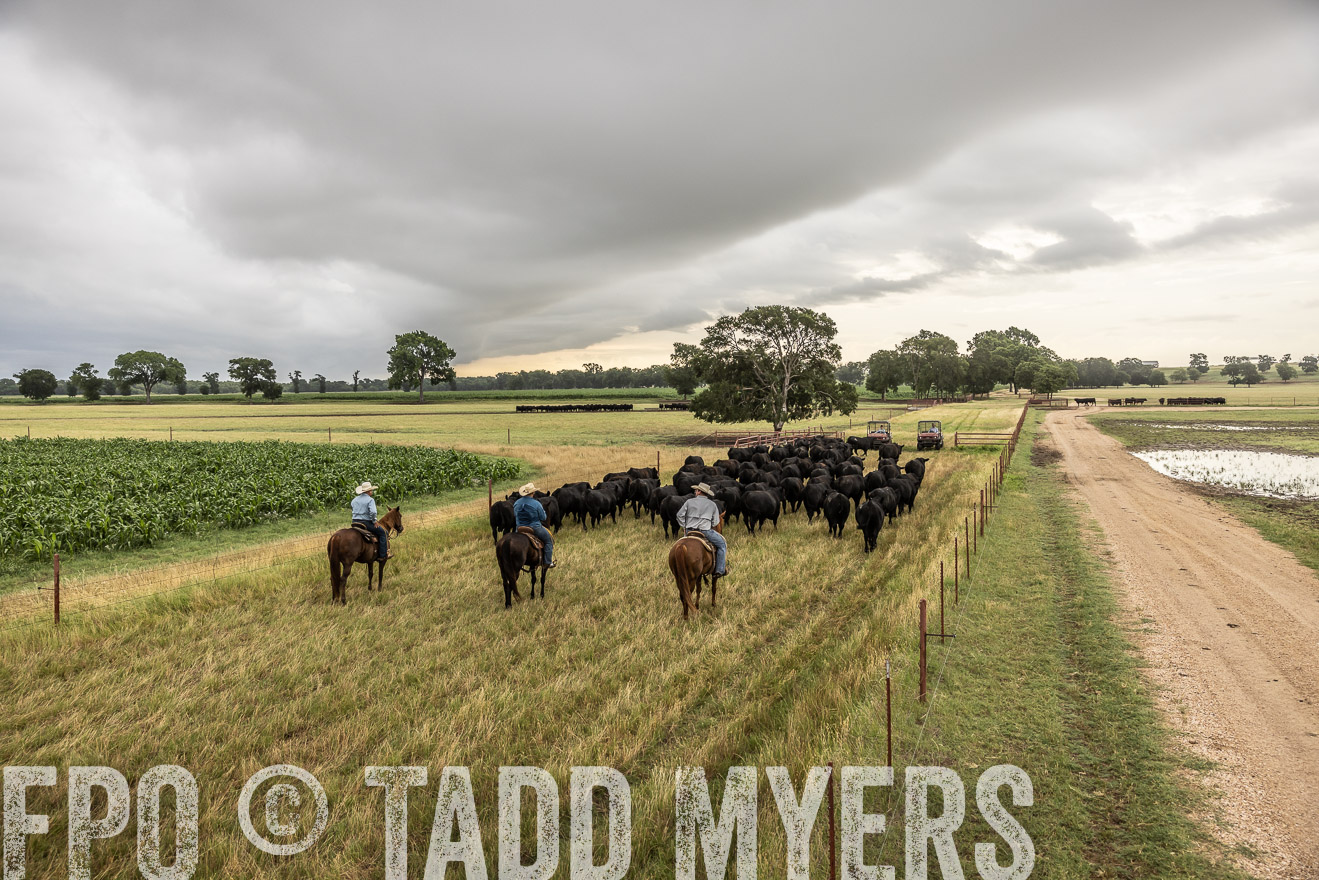 TMyers_Cameron_June2022-526428