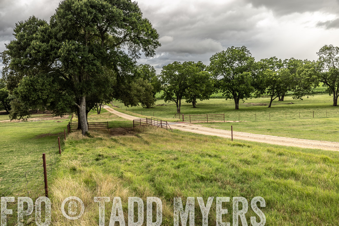 TMyers_Cameron_June2022-526439