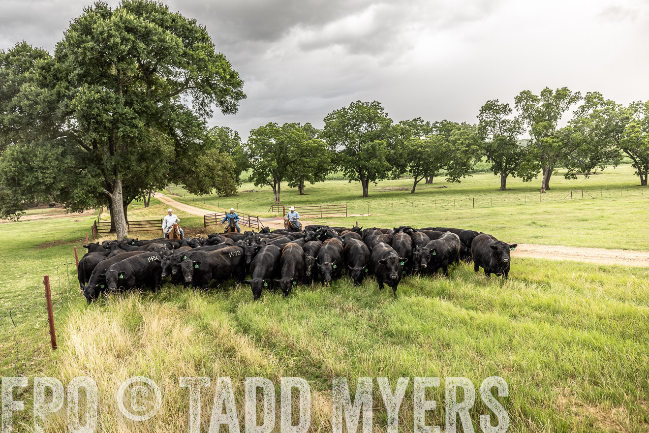 TMyers_Cameron_June2022-526457