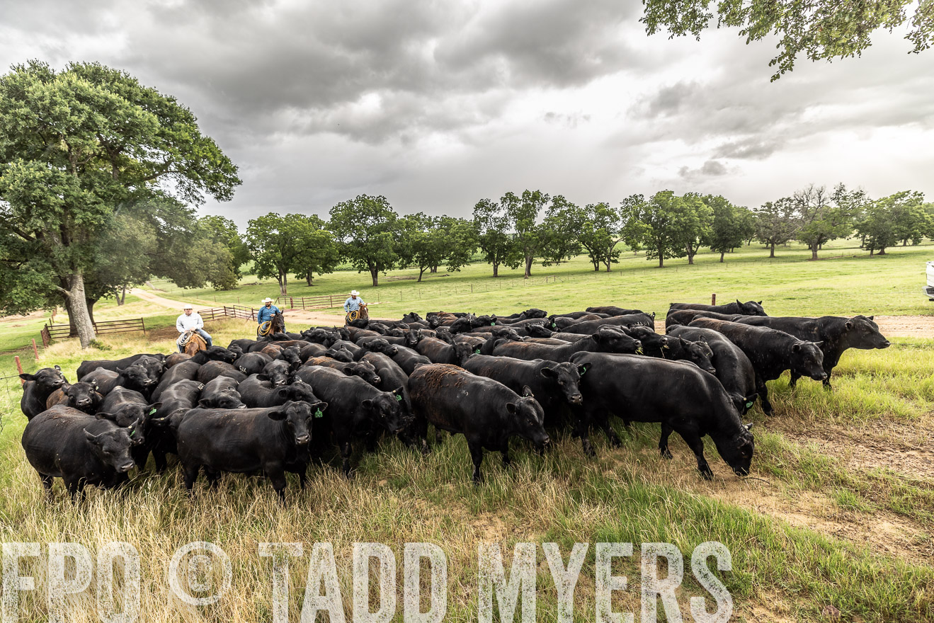 TMyers_Cameron_June2022-526480