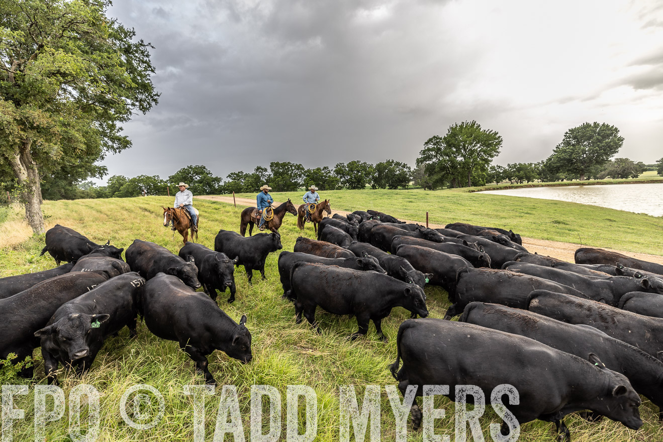 TMyers_Cameron_June2022-526554