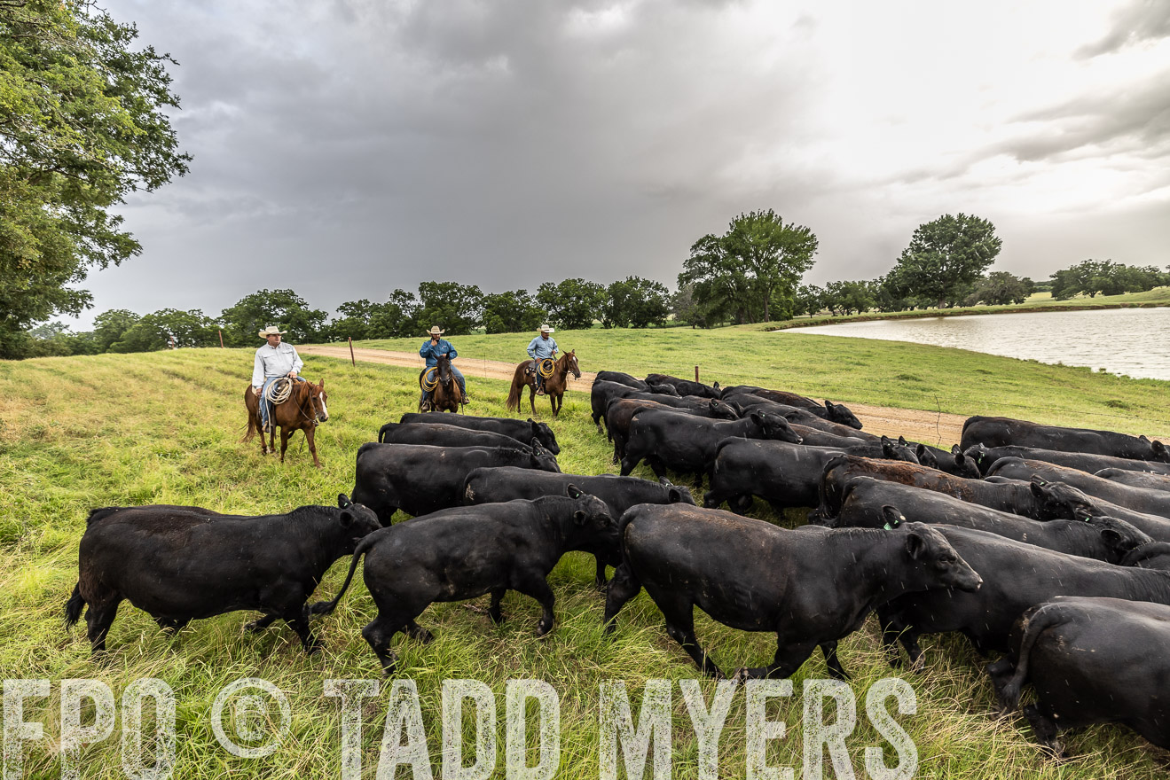 TMyers_Cameron_June2022-526565