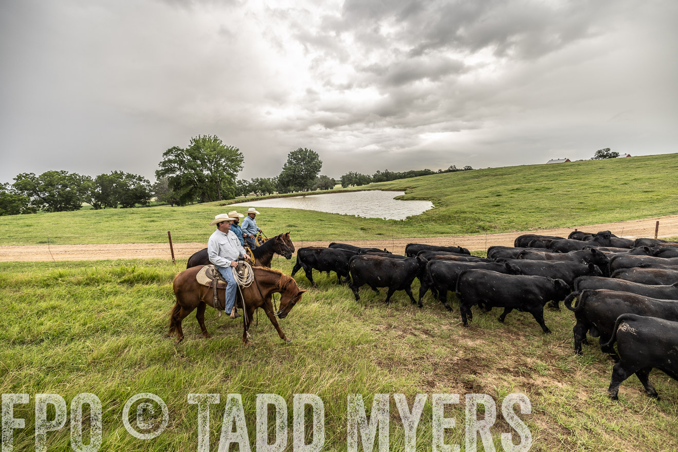 TMyers_Cameron_June2022-526601