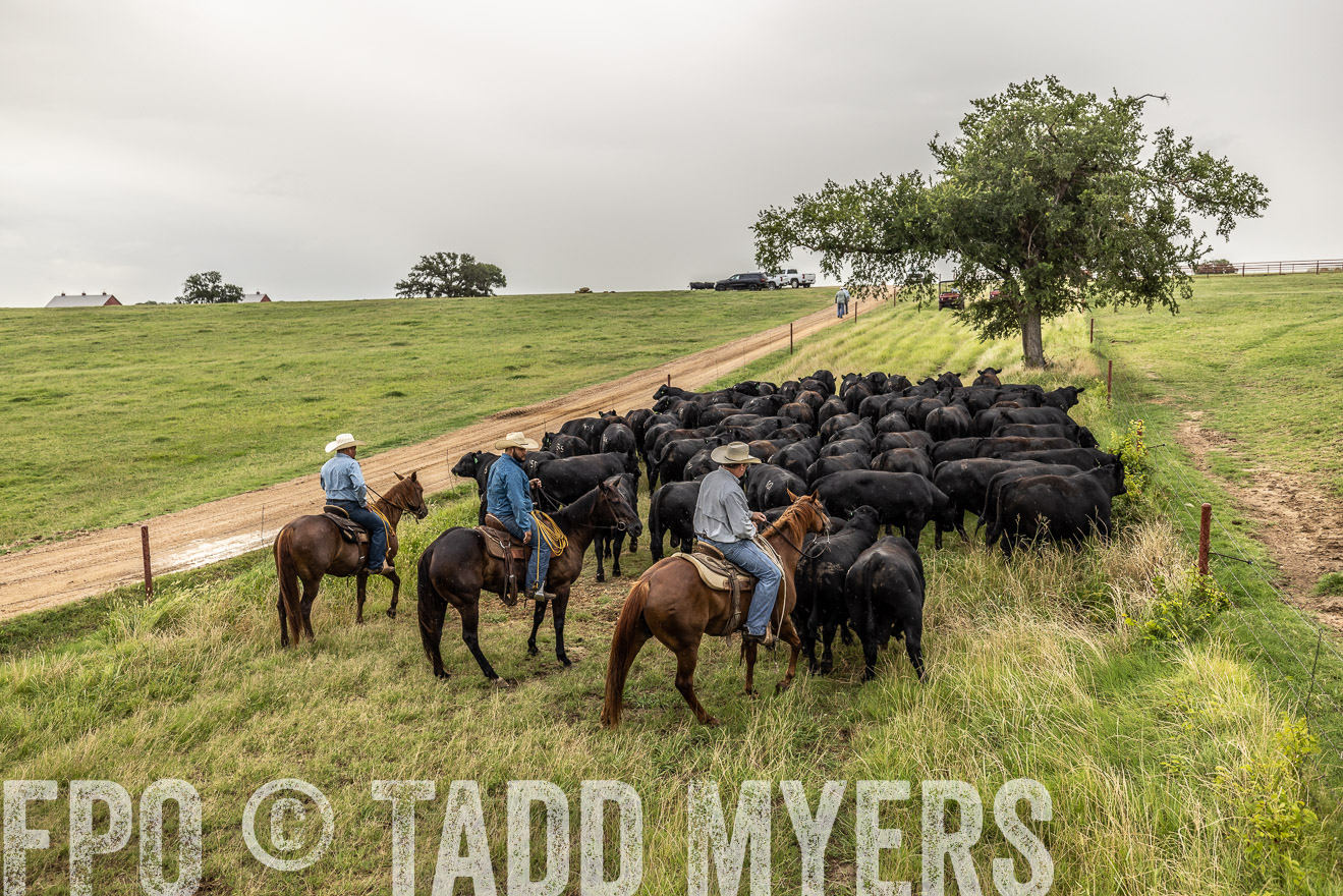 TMyers_Cameron_June2022-526652