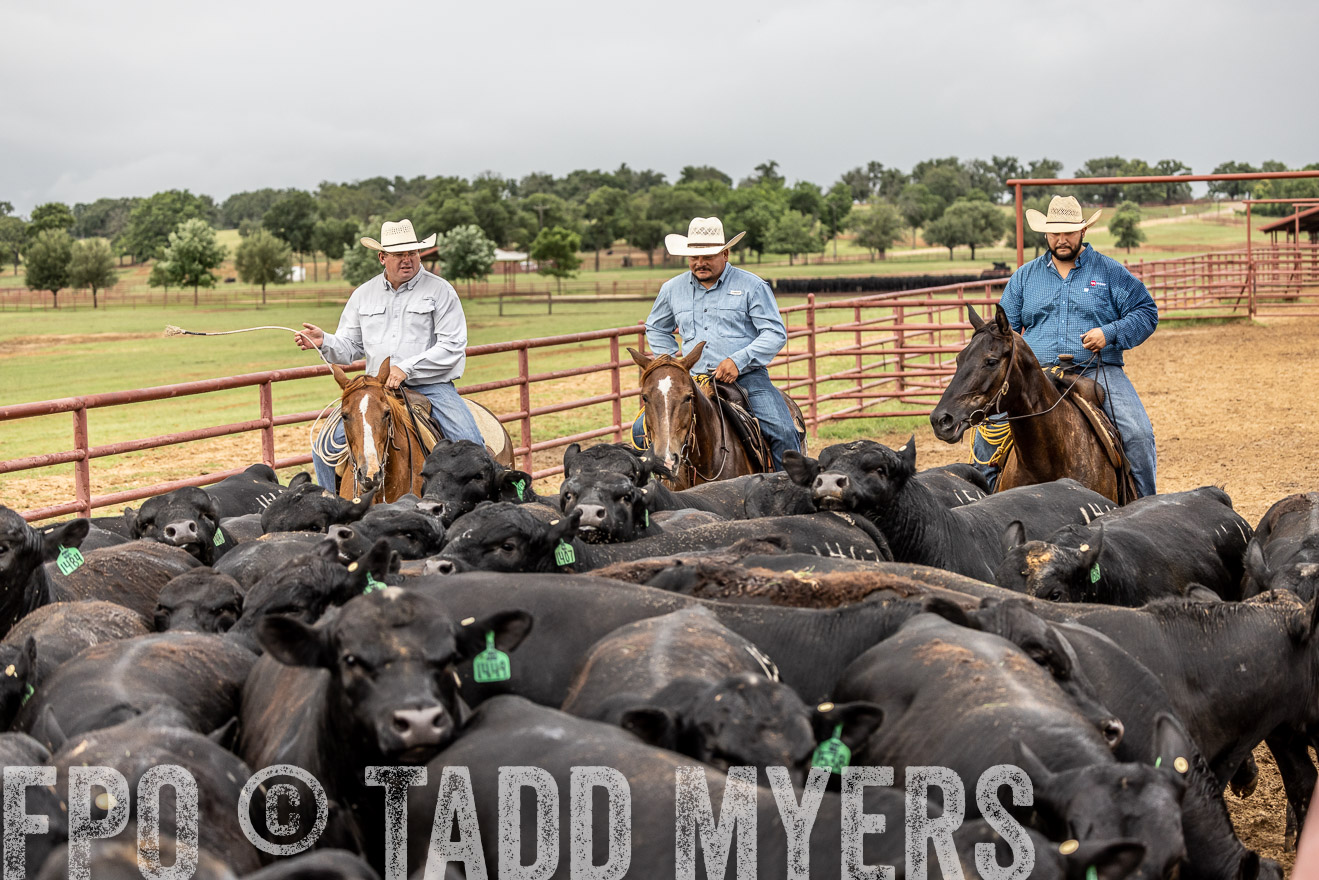 TMyers_Cameron_June2022-526840