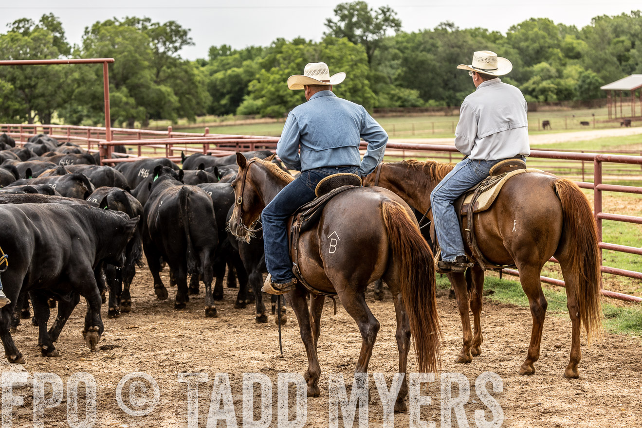 TMyers_Cameron_June2022-526882