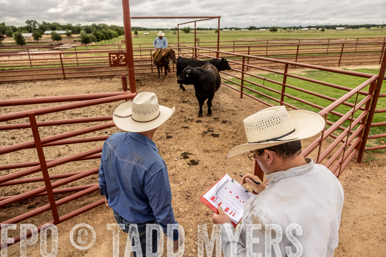 TMyers_Cameron_June2022-526980