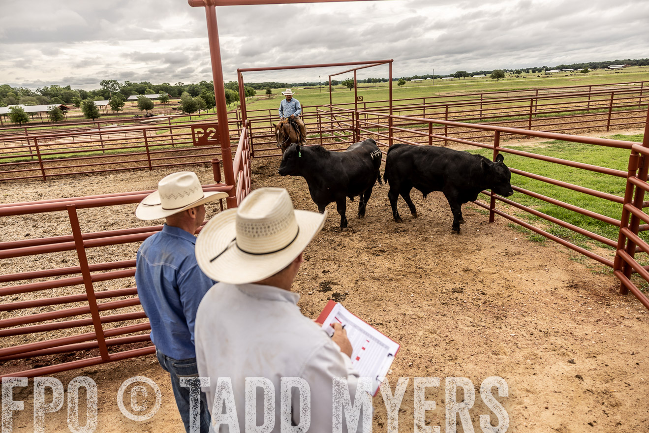 TMyers_Cameron_June2022-527023