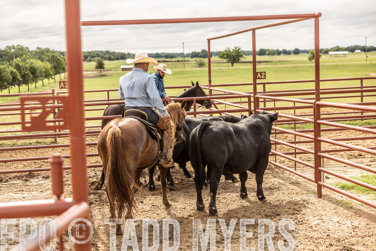 TMyers_Cameron_June2022-527084