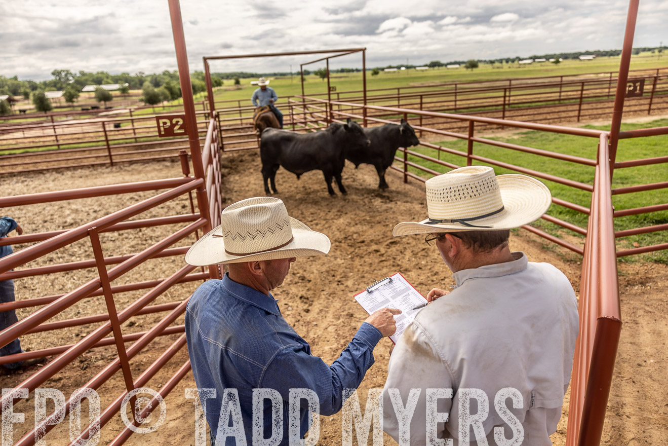 TMyers_Cameron_June2022-527255