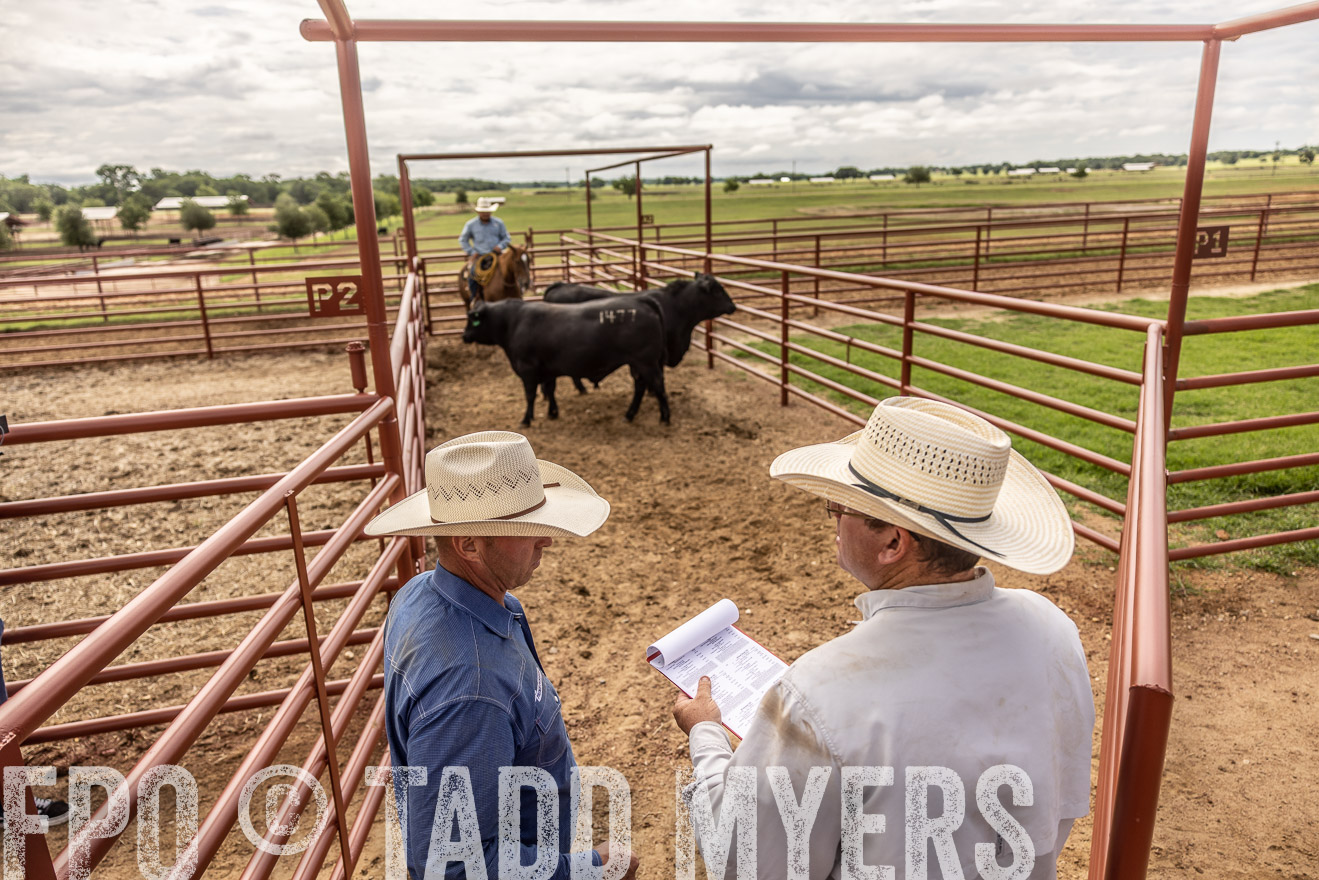 TMyers_Cameron_June2022-527356