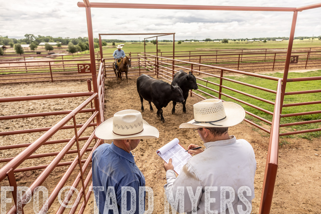 TMyers_Cameron_June2022-527414