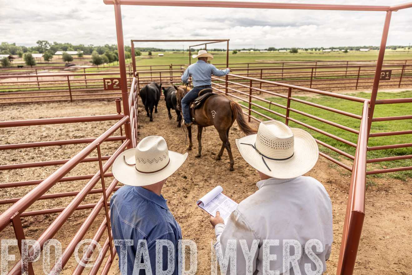TMyers_Cameron_June2022-527427