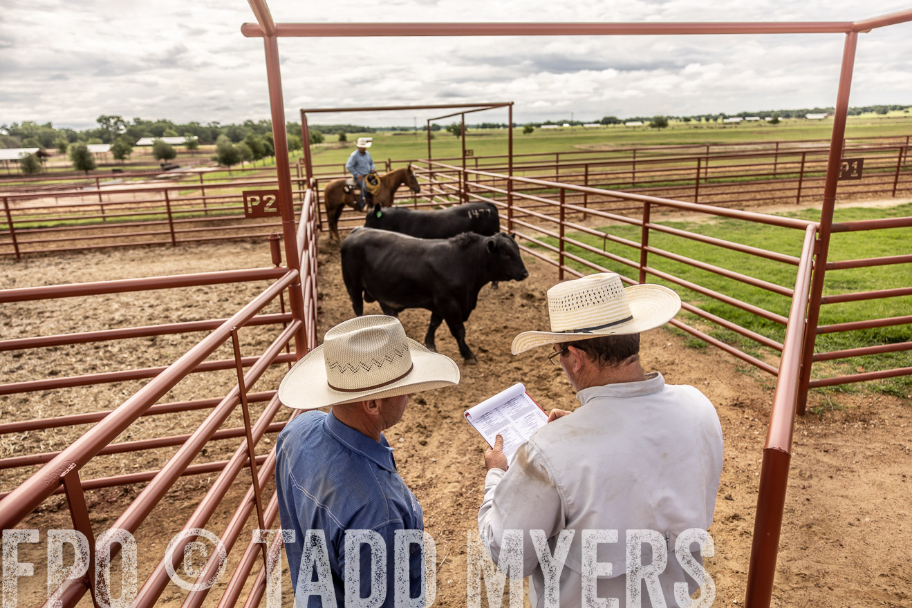 TMyers_Cameron_June2022-527454