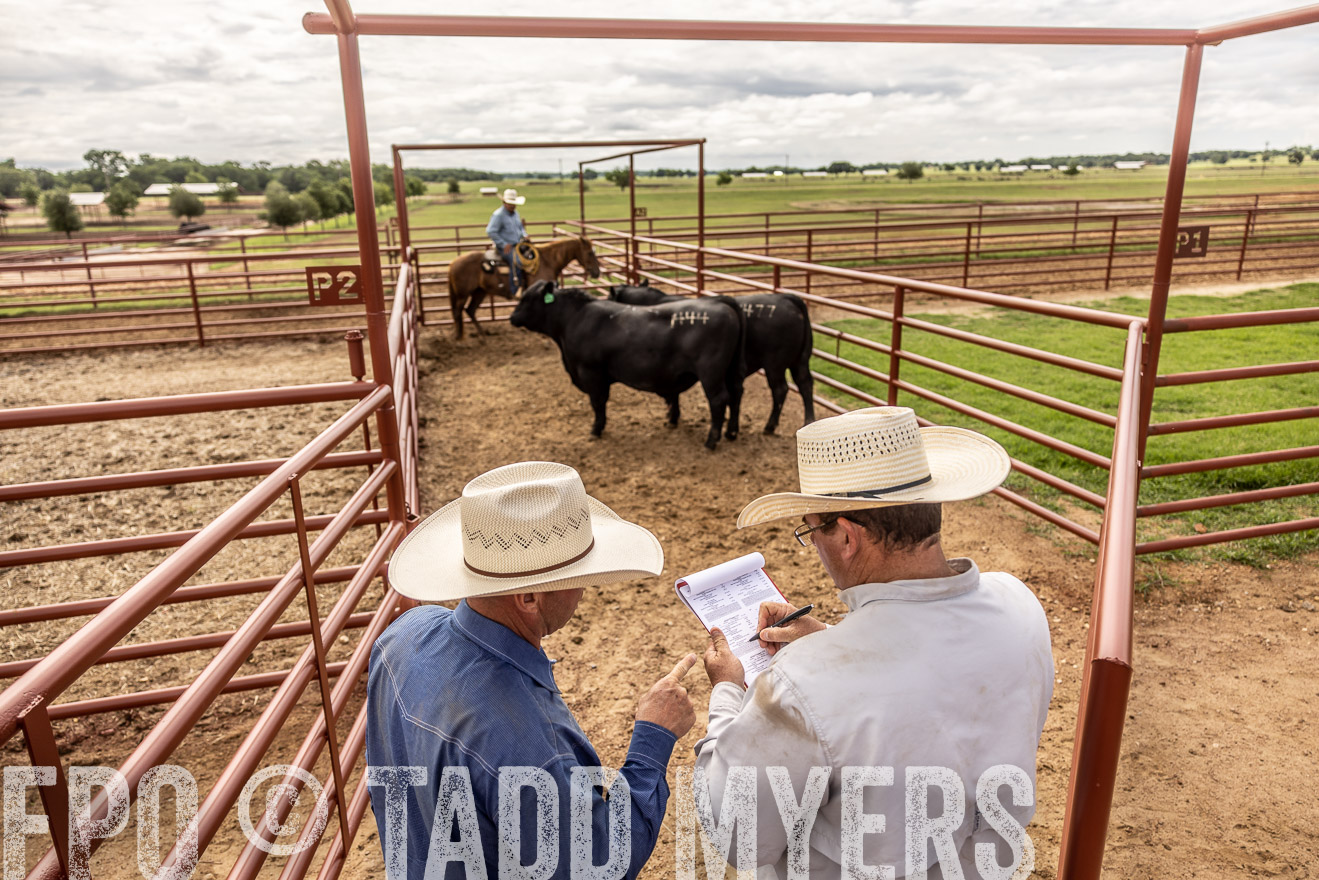 TMyers_Cameron_June2022-527506