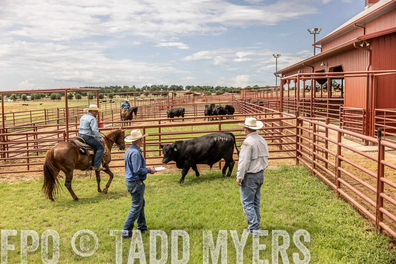 TMyers_Cameron_June2022-527613