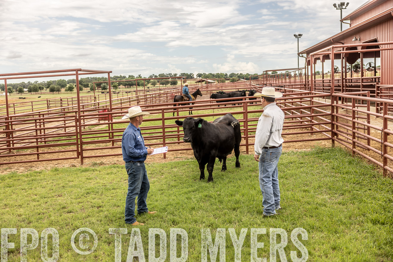 TMyers_Cameron_June2022-528252
