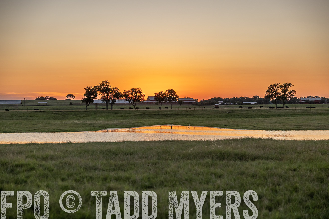 TMyers_Cameron_June2022-528319