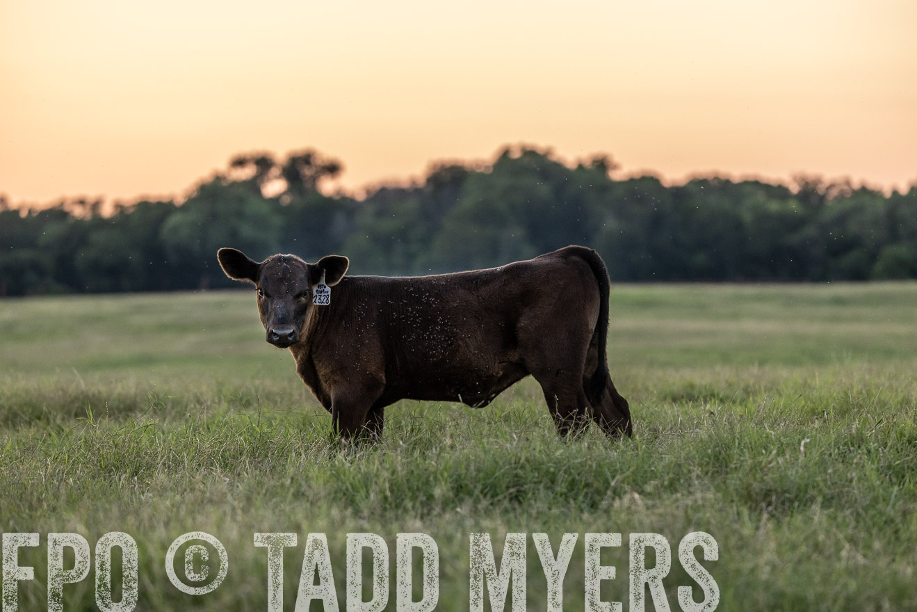 TMyers_Cameron_June2022-528321