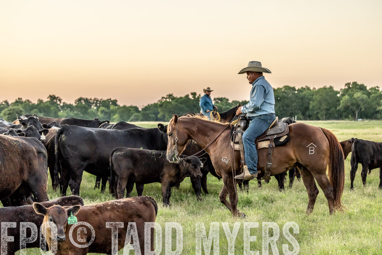 TMyers_Cameron_June2022-528402