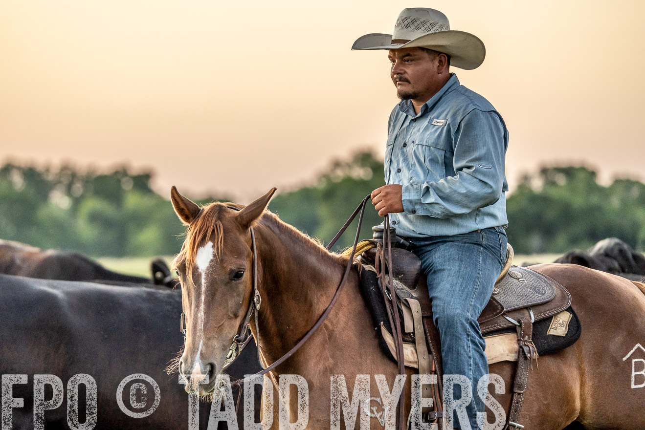 TMyers_Cameron_June2022-528409