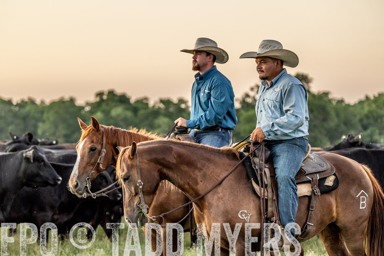 TMyers_Cameron_June2022-528451
