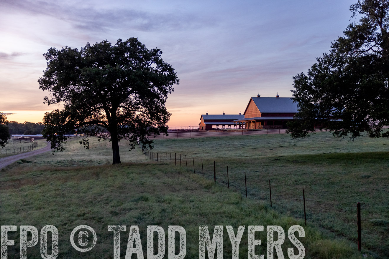 TMyers_Cameron_June2022-528540