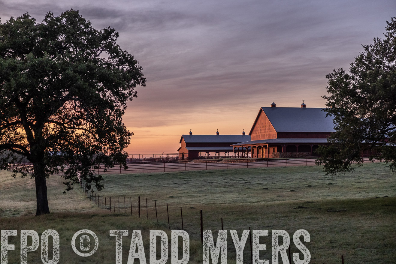 TMyers_Cameron_June2022-528577