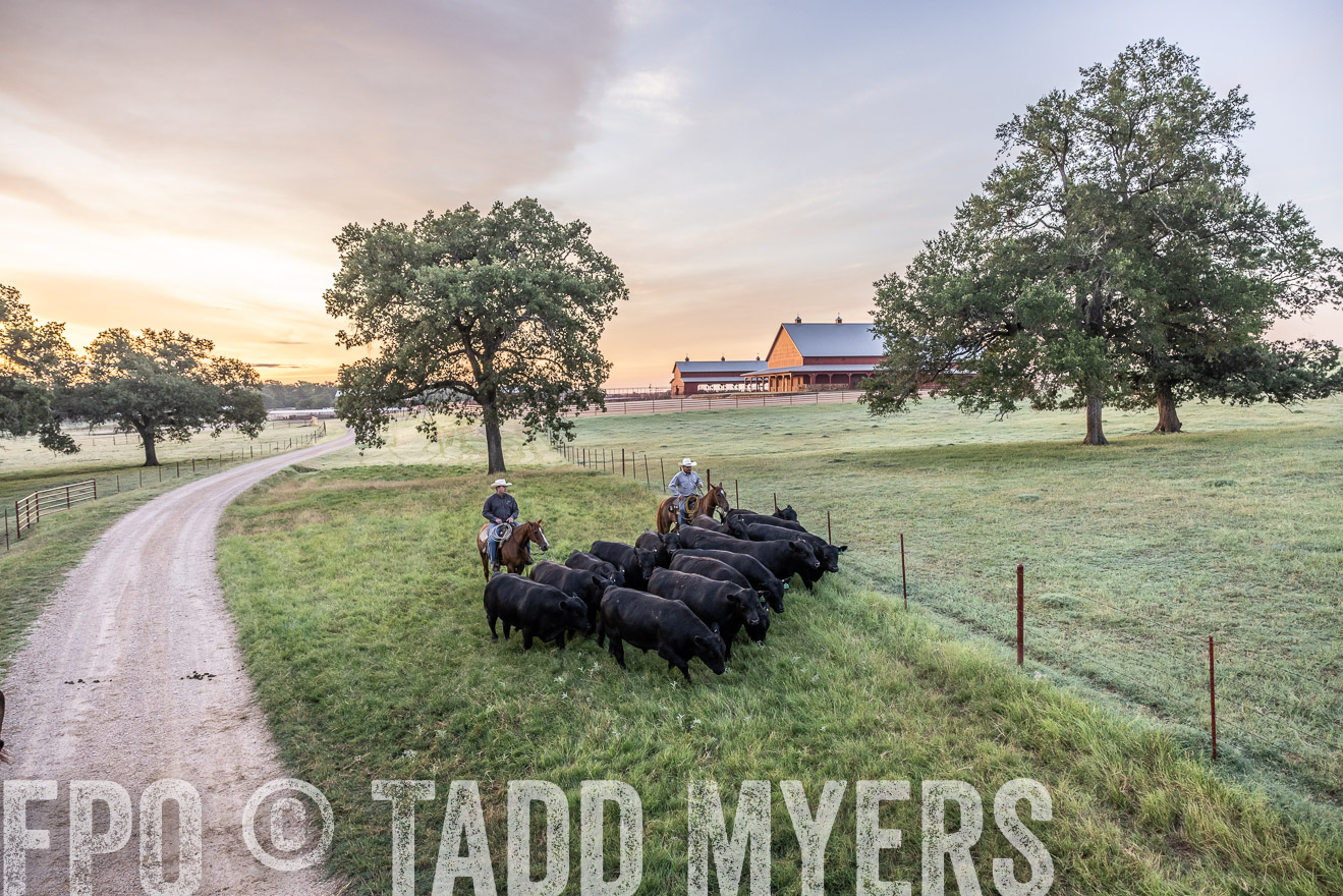 TMyers_Cameron_June2022-528930