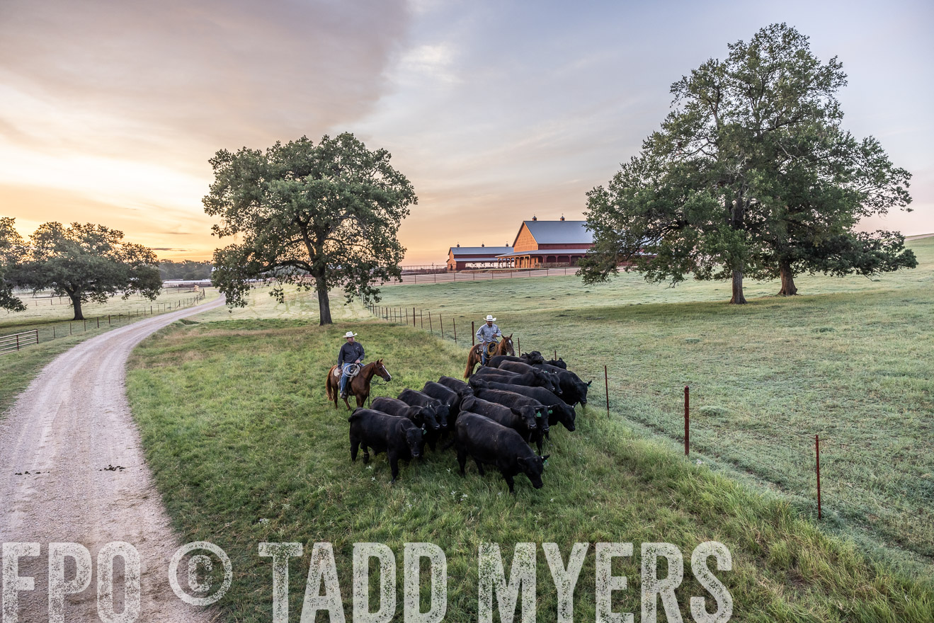 TMyers_Cameron_June2022-528936