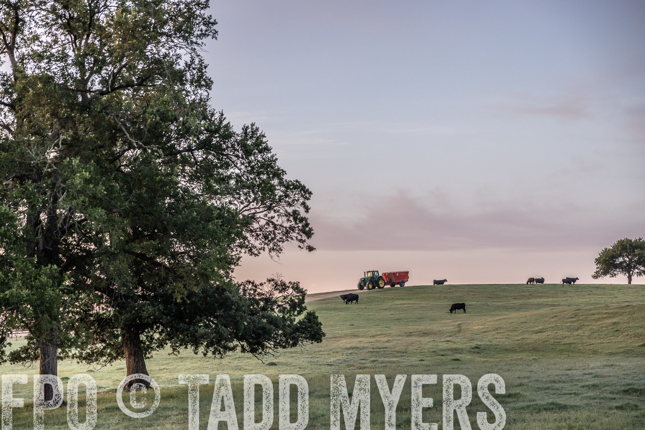 TMyers_Cameron_June2022-529007