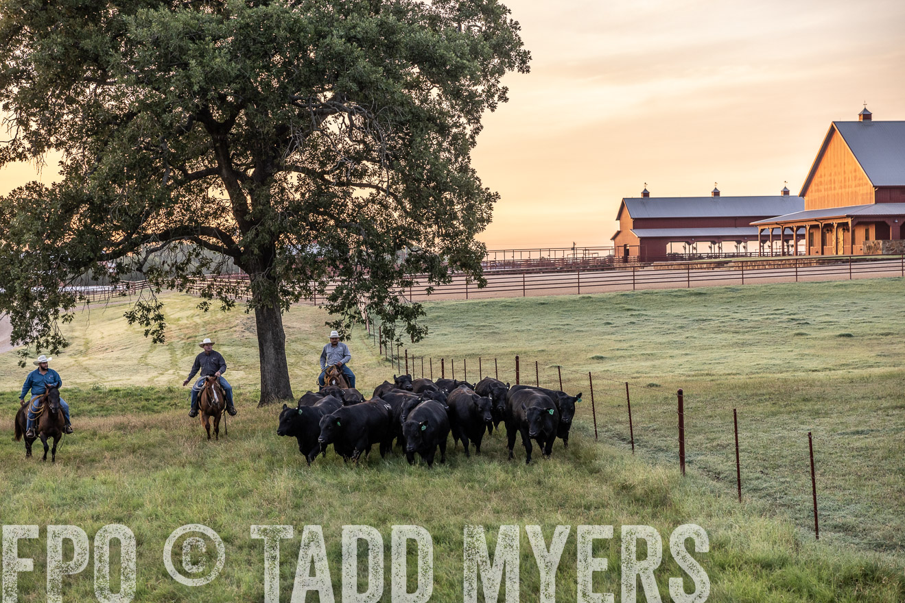 TMyers_Cameron_June2022-529013