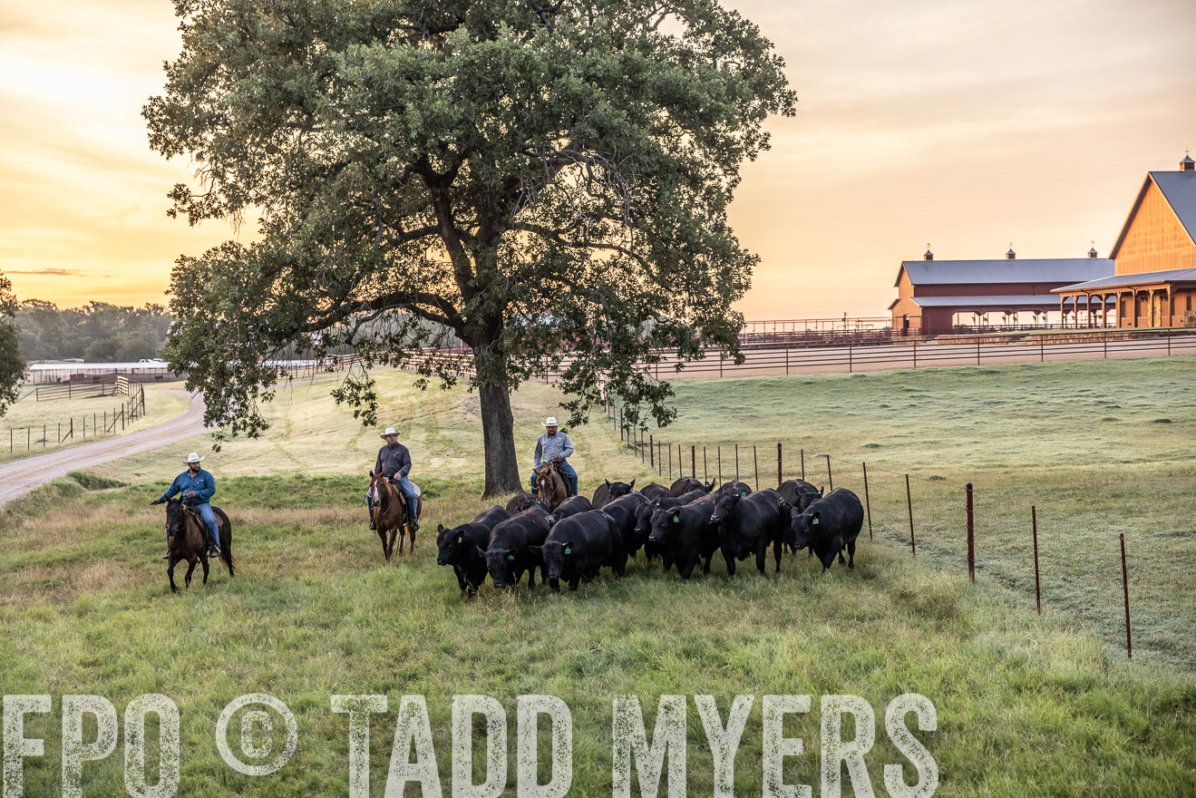 TMyers_Cameron_June2022-529018