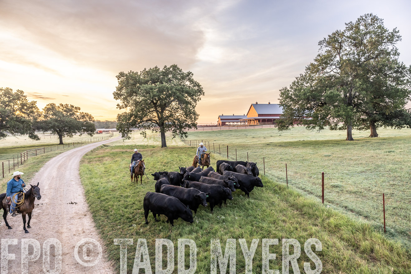 TMyers_Cameron_June2022-529071