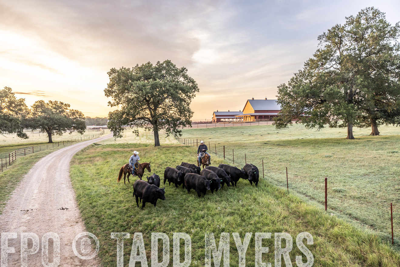 TMyers_Cameron_June2022-529139