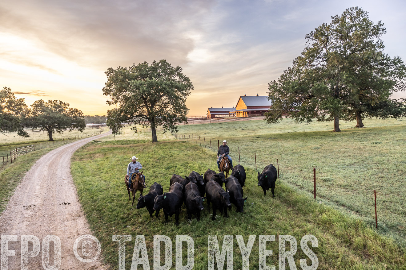 TMyers_Cameron_June2022-529162