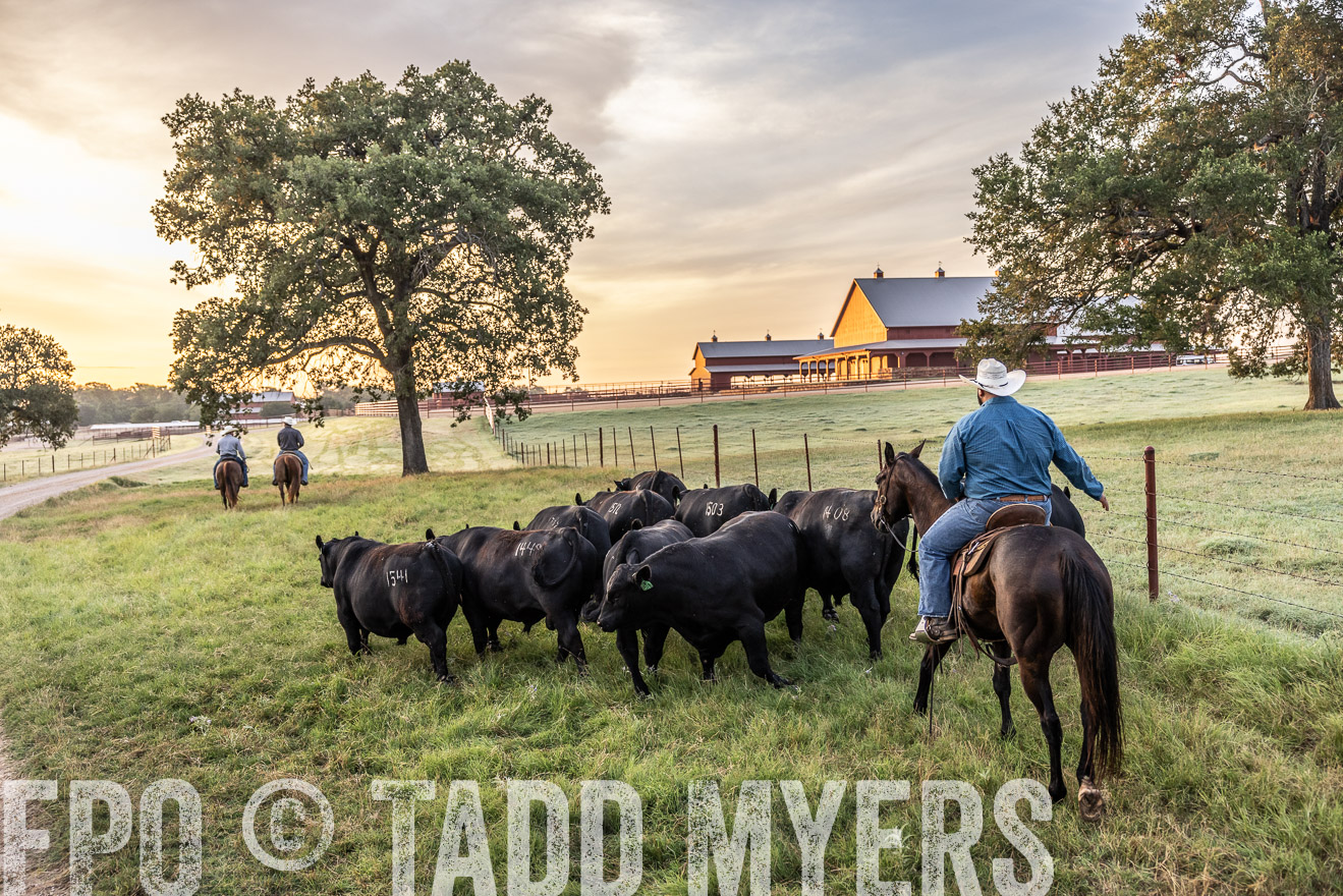 TMyers_Cameron_June2022-529209