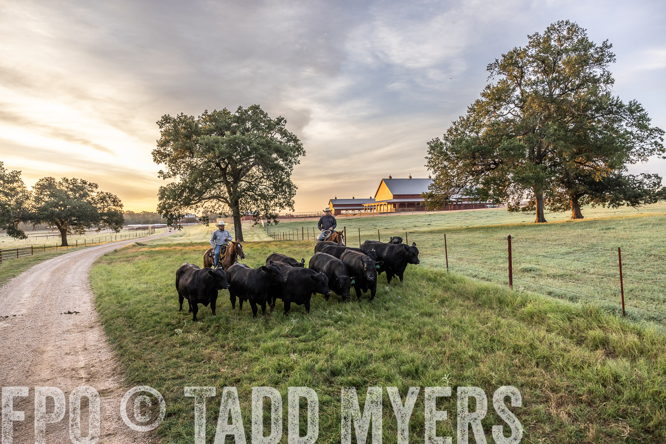 TMyers_Cameron_June2022-529245