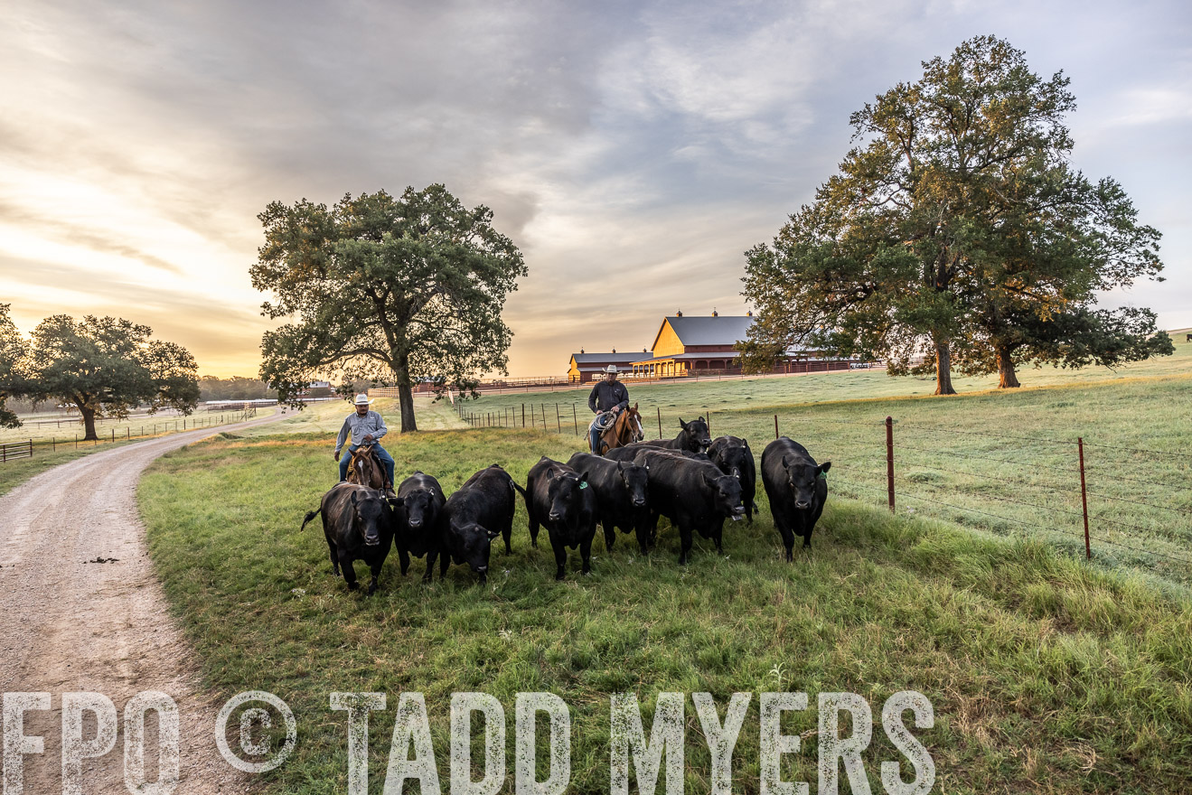 TMyers_Cameron_June2022-529260