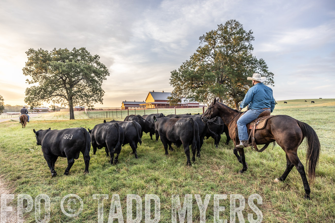 TMyers_Cameron_June2022-529329