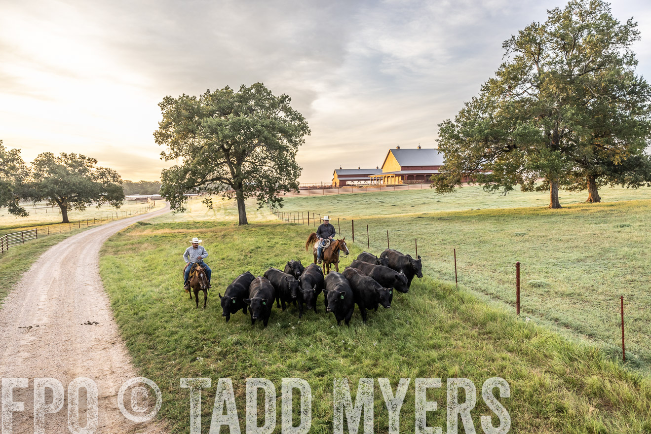 TMyers_Cameron_June2022-529399