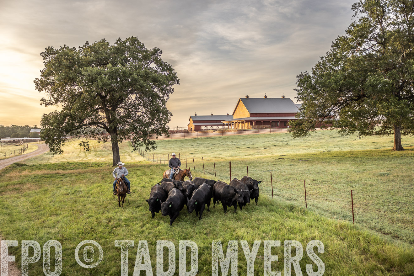 TMyers_Cameron_June2022-529507